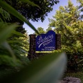 Create Listing: Emancipation Lunch at Dasheene